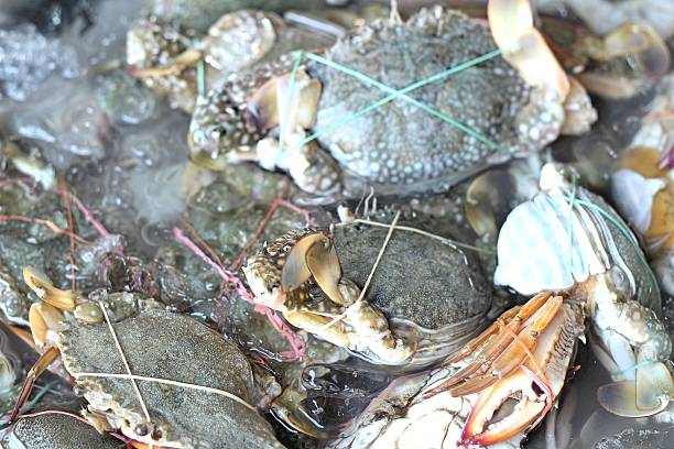 istock fresh crab in the market 472114840