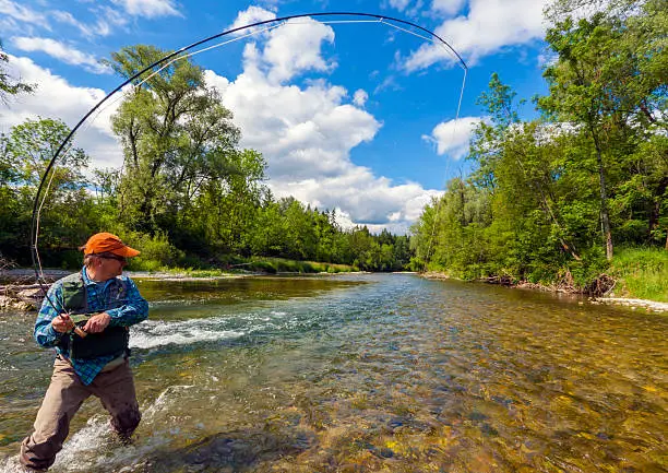 A fisherman is flyfishing in a beautiful River  on a perfekt Day.