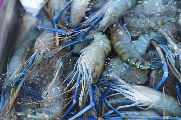 istock Fresh shrimp in the market 472115210