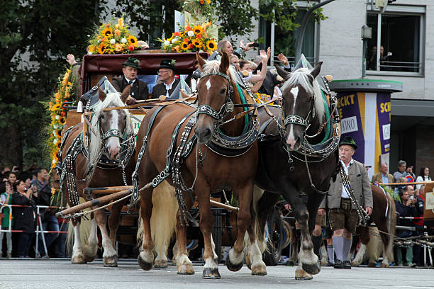 horse coach small landlords oktoberfest Munich, Germany, September 21, 2013 the start of the oktoberfest is always with a big parade with horses, coaches and traditional costumes. It goes from the center of munich to the theresienwiese. All Breweries, artists and owner of the beer tents go with music and wonderful coaches to the start of the festival. At 11.00h the minister of bavaria and the mayor of the city munich will start the first mass beer in the tent of schottenhamel. In this picture you see horse coach of small landlord coach bus stock pictures, royalty-free photos & images