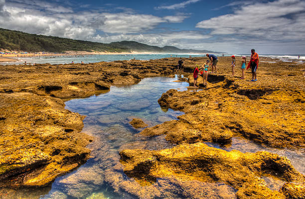 Cape Vidal Rock pools Cape Vidal, South Africa - January 01, 2014. Cape Vidal falls within the St Lucia Marine Reserve and is situated north-east of St Lucia within the Isimangaliso Wetland Park World Heritage Site. It has become a popular destination for travelers because of the natural beauty and abundance of sea life. isimangaliso wetland park stock pictures, royalty-free photos & images