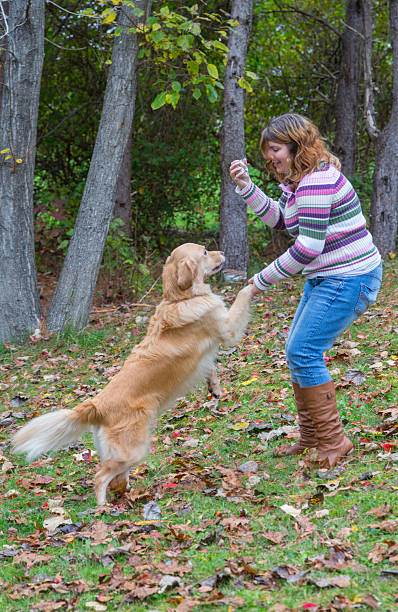 istock Young red haired woman playing with golden retriever 472118533