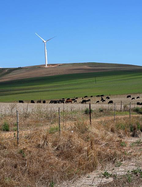 istock Rural Wind Turbine 472122339