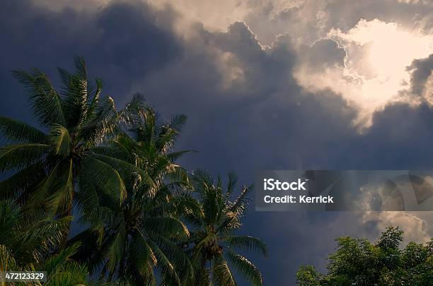 Palmen In Monsterfictional Character Saison In Bali Indonesien Stockfoto und mehr Bilder von Abgerissen