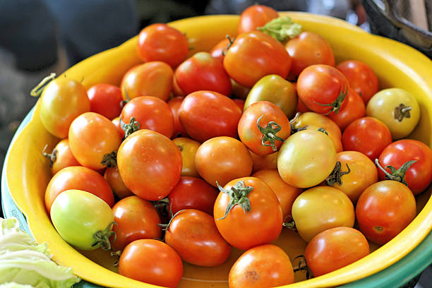 istock Fresh tomatoes in the market 472123720