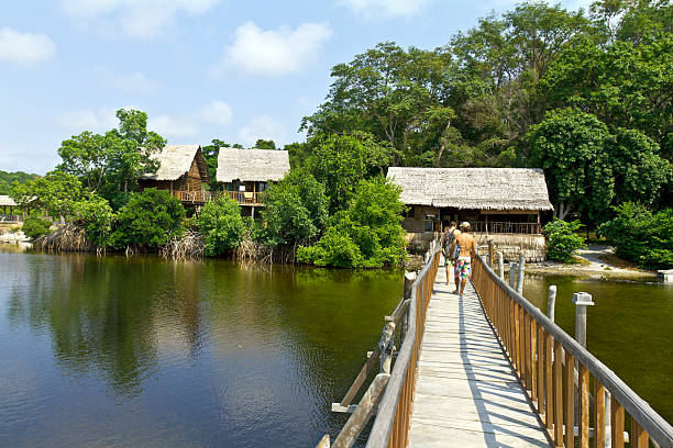 Gabon, Estuaire Province, Pongara National Park, bridge. Gabon, Estuaire Province, Pongara National Park, bridge over lagoon. gabon stock pictures, royalty-free photos & images