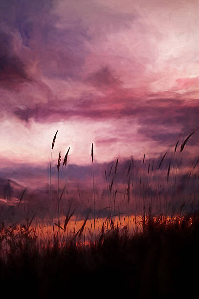 istock Digital art, paint effect, Purple sunset with tall grass 472127360