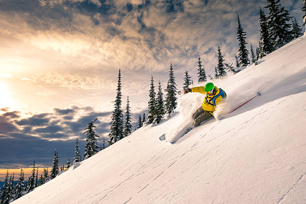 порошок на лыжах - skiing british columbia sports helmet tree стоковые фото и изображения