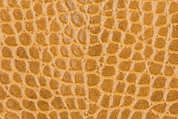 istock Brown crocodile skin Leather texture 472127826