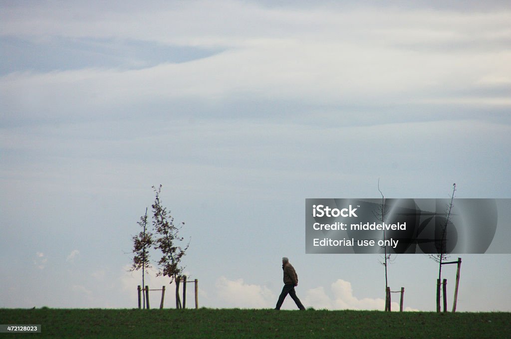 Samotny spaceru w holenderski Pejzaż - Zbiór zdjęć royalty-free (Bezchmurne niebo)