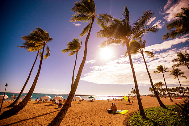 Honolulu, USA  - January 16, 2014: People relaxing on the beach, Honolulu, Hawaii