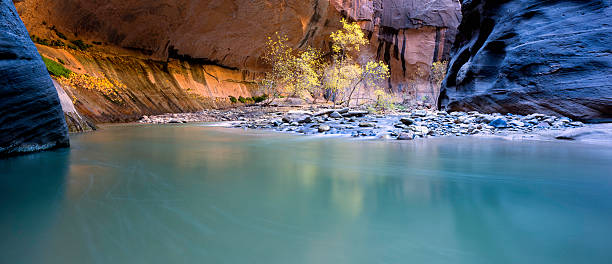 Narrows or Zion A panorama of the Narrows in Zion National Park, Utah. virgin river stock pictures, royalty-free photos & images
