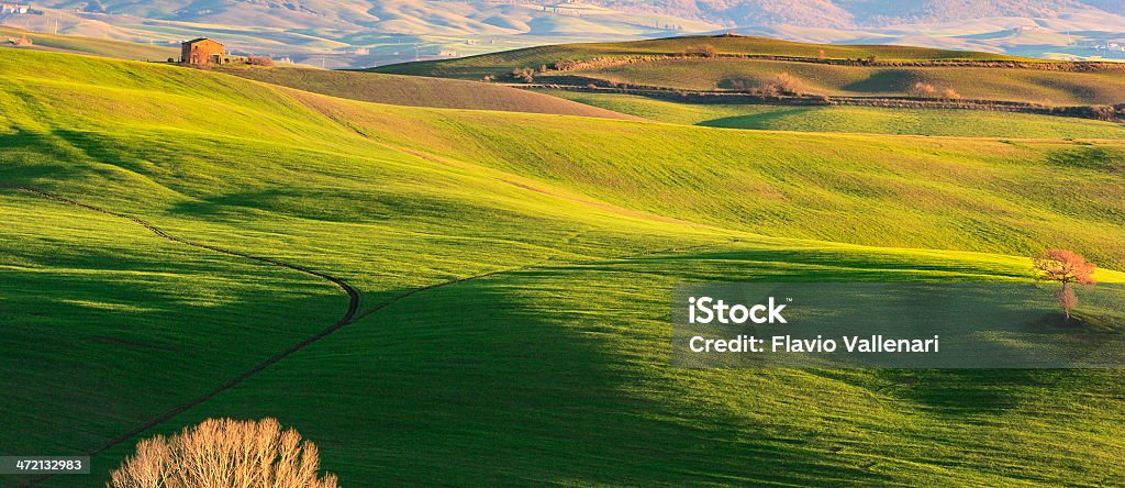 Paesaggio della Toscana, Italia - Foto stock royalty-free di Agricoltura