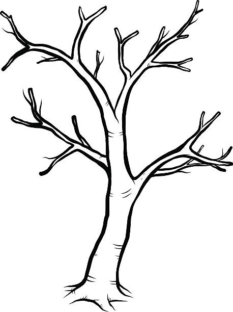 Dead Tree Stock Illustration - Download Image Now - Tree, Bare Tree, Black  And White - iStock