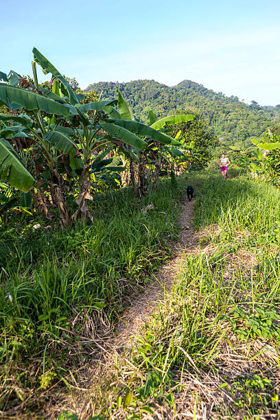 istock Cambodia, Kep Province, trail running. 472136465