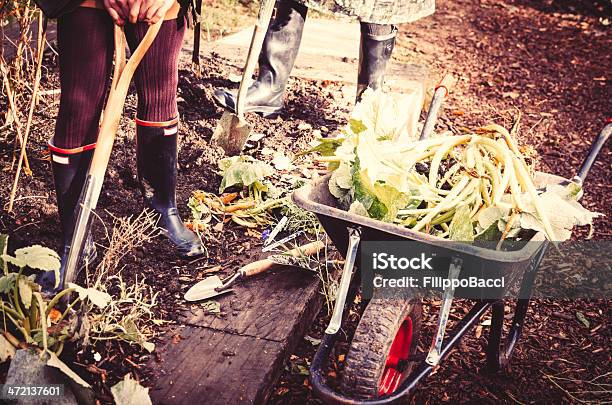 Ciężkiej Pracy W Ogrodzie - zdjęcia stockowe i więcej obrazów Zima - Zima, Kobiety, Ogród warzywny