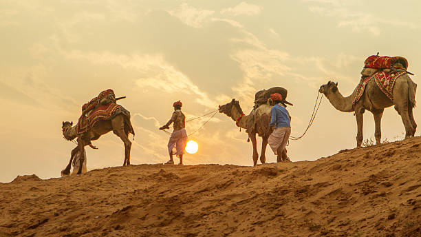 Jaisalmer, Rajasthan, India. February 16, 2016. Indian cameleer (camel driver) with camel silhouettes in Sam sand dunes of Thar desert at sunset. Desert Safari. Travel tourism background.