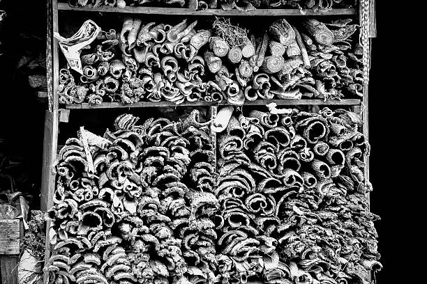 Durban, South Africa - April 02, 2013. Street vendor sells animals skins,venom,bones and and an extensive range of different tree bark collected from all over Southern Africa.