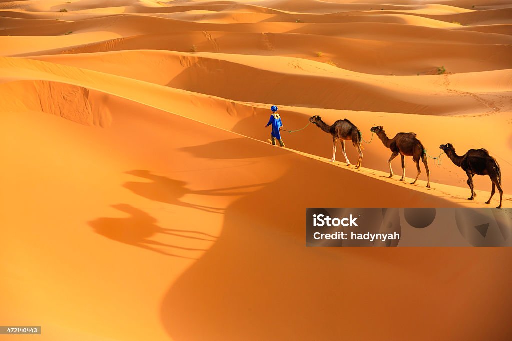 Young  Tuareg with camel on Western Sahara Desert in Africa Tuareg with camels on the western part of The Sahara Desert in Morocco. The Sahara Desert is the world's largest hot desert. Morocco Stock Photo