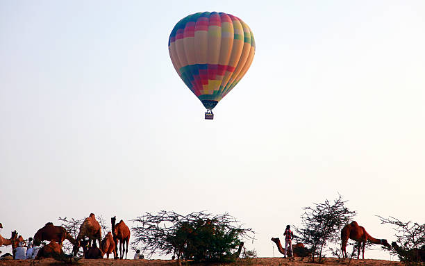 pushkar ярмарка индия - camel fair стоковые фото и изображения