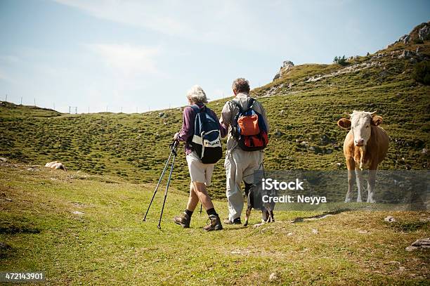 Senior Couple On Velika Planina Stock Photo - Download Image Now - Dog, Cow, Domestic Cattle