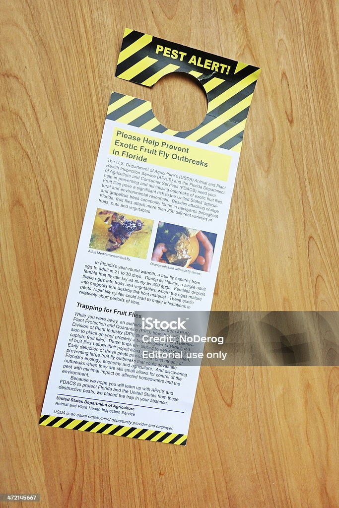 Mosca de plagas folleto de alerta - Foto de stock de Acorralado libre de derechos