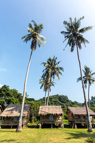 istock Cambodia, Kep Province, Koh Tonsay. 472147913