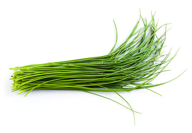 istock Young green onion leaves isolated on white. 472148214