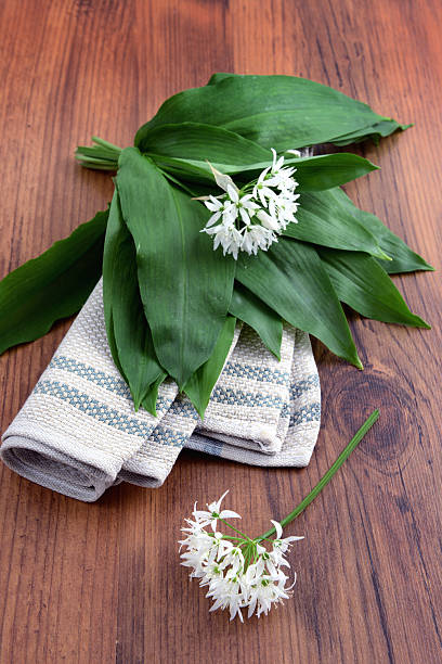 wild garlic (Allium ursinum) on table wild garlic (Allium ursinum) on table.  zigeunerlauch stock pictures, royalty-free photos & images