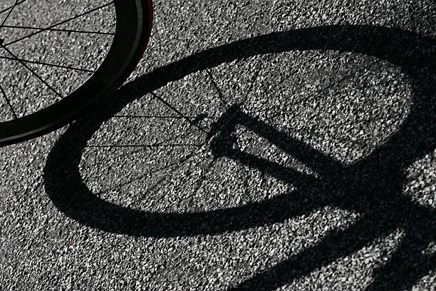 Wheel of a bicycle with metal spokes next