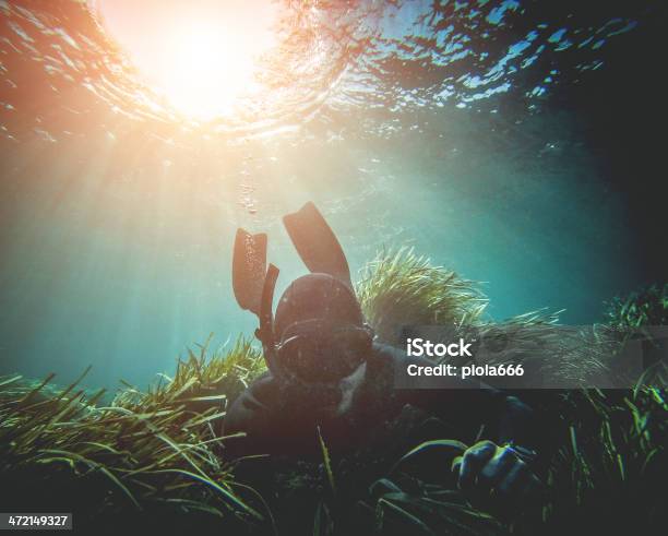 Free Diver Spearfishing In The Abyss Stock Photo - Download Image Now - Underwater Diving, Hunting - Sport, Sleep Apnea
