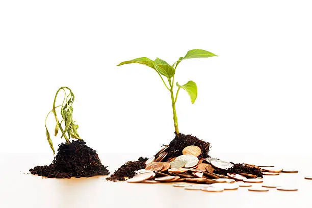A neglected, dying seedling in rich brown soil sits next to a thriving plant growing in a pile of coins.  This metaphor for the costs of healthcare shows it's a fact;  staying healthy costs money.