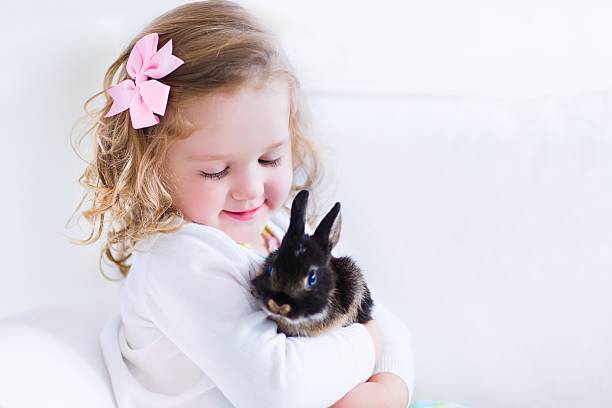Happy laughing little girl playing with a baby rabbit, hugging her real bunny pet and learning to take care of an animal. Child on a white couch at home or kindergarten.