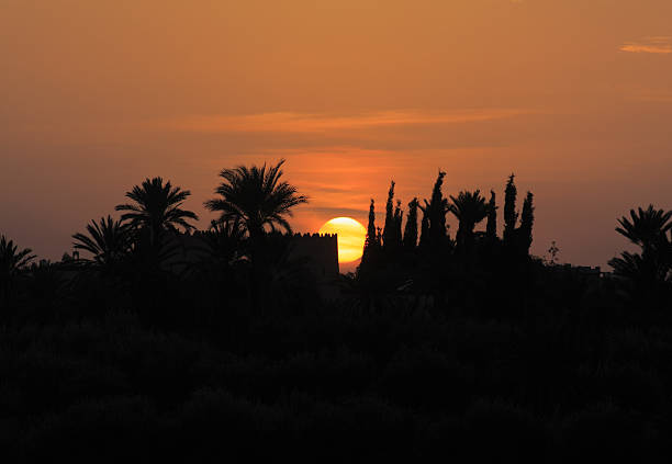 Morocco, Marrakesh, Silhouette of an oasis and palm trees at sunset.