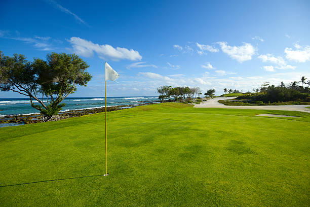 campo de golf junto al mar - practicing golf putting golf flag fotografías e imágenes de stock