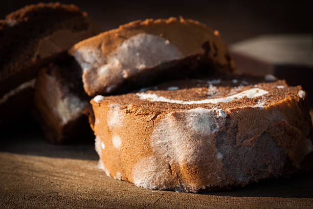 istock Jam roll cake with mold fungus, no longer suitable 472155609