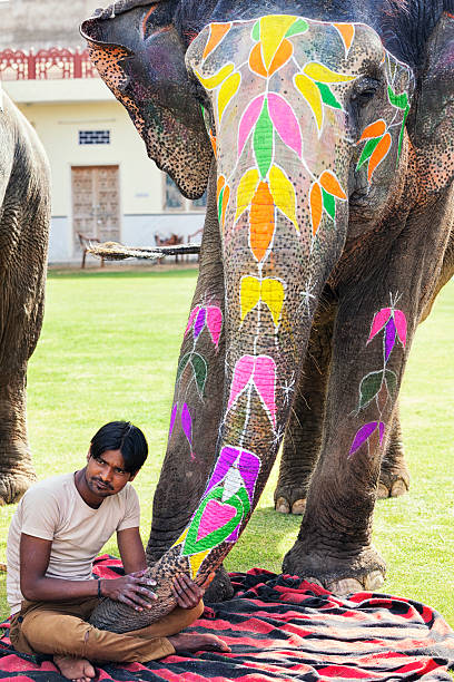 istock Painted Elephant and Handler in Amer, India 472156224
