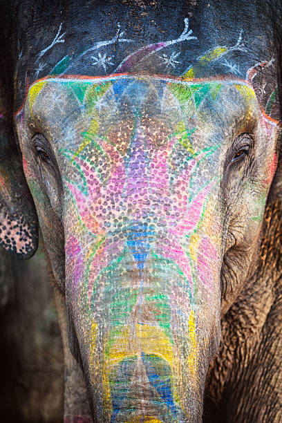 istock Painted Elephant Portrait in Amer, India 472156238