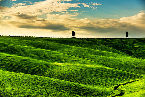 istock Sunny afternoon in Tuscany 472156895
