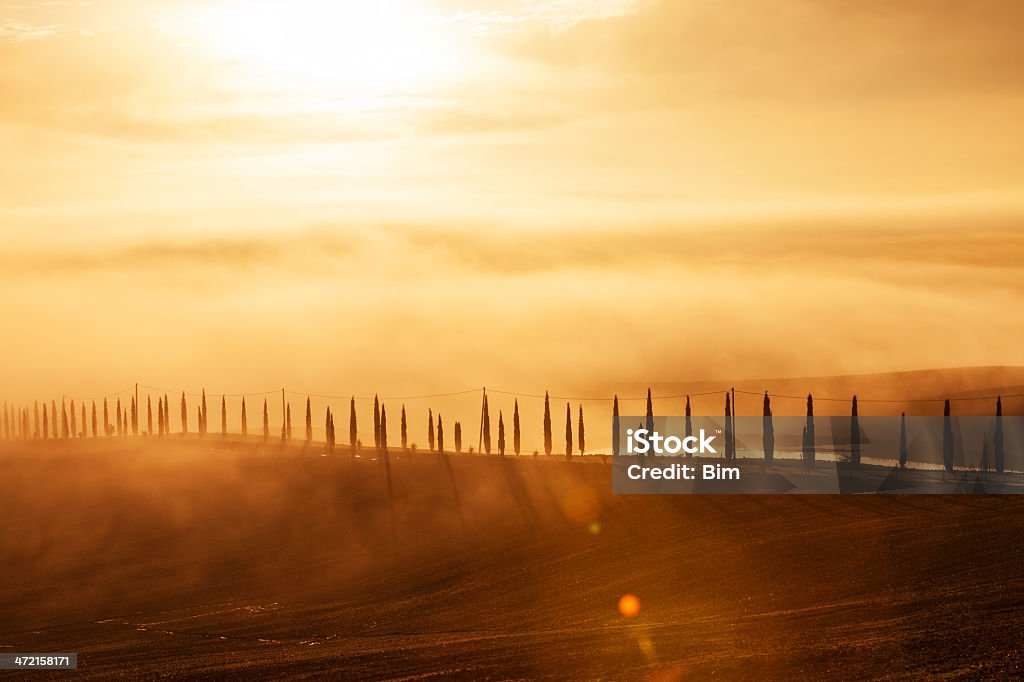 Cypress gesäumten Straße bei Sonnenaufgang, Toskana, Italien - Lizenzfrei Abenddämmerung Stock-Foto