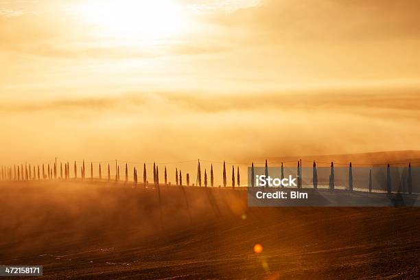 Cypress Gesäumten Straße Bei Sonnenaufgang Toskana Italien Stockfoto und mehr Bilder von Abenddämmerung