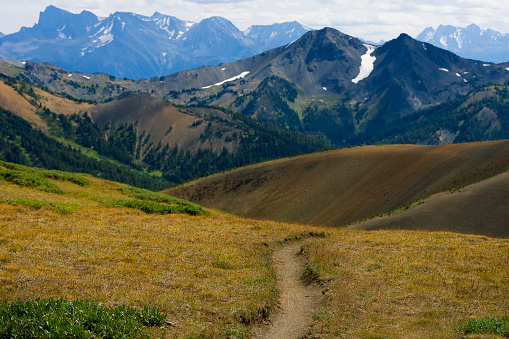 A popular trail for mountain bikers, hikers and horseback riders in British Columbia, Canada.