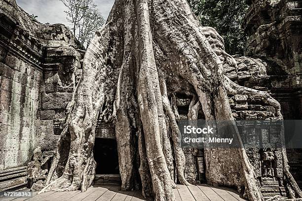 Camboya Templo De Angkor Ruinas En La Selva Foto de stock y más banco de imágenes de Angkor - Angkor, Angkor Thom, Angkor Wat