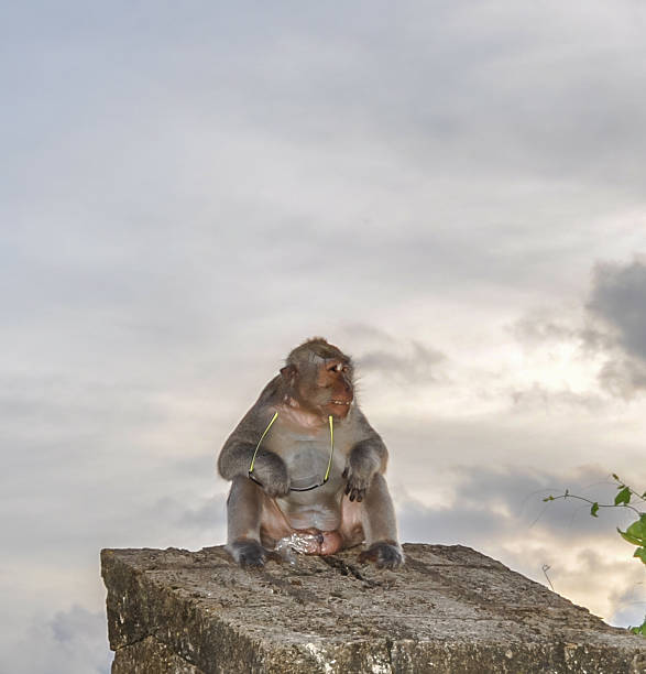 istock Uluwatu temple, south Bali, Indonesia. 472158377