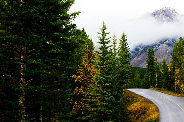 istock Road in Banff National Park 472159747