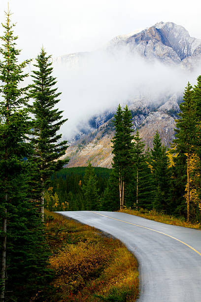 istock Road in Banff National Park 472159753