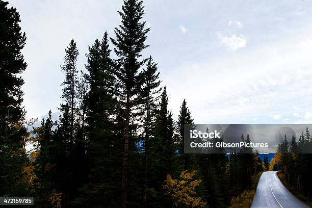 Viaggio - Fotografie stock e altre immagini di Alberta - Alberta, Ambientazione esterna, Ambientazione tranquilla