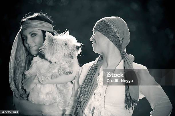 2 つのジプシー女性に犬 - かわいがられているペットのストックフォトや画像を多数ご用意 - かわいがられているペット, ウエストハイランドホワイトテリア, エンタメ総合