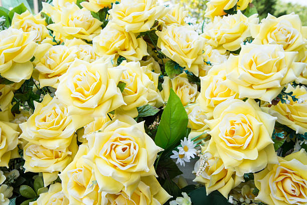 istock close up of yellow roses. 472162438