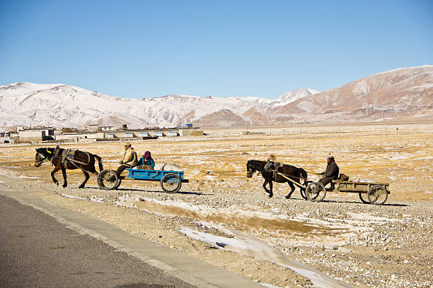 Tibet, China - January 20, 2013: A group of Tibetan nomad from the Kham people with there horse cart. they have loaded parts of their belonging and are moving to another place in the Everest region in Central Tibet on January 20, 2013 at Tibet, China  